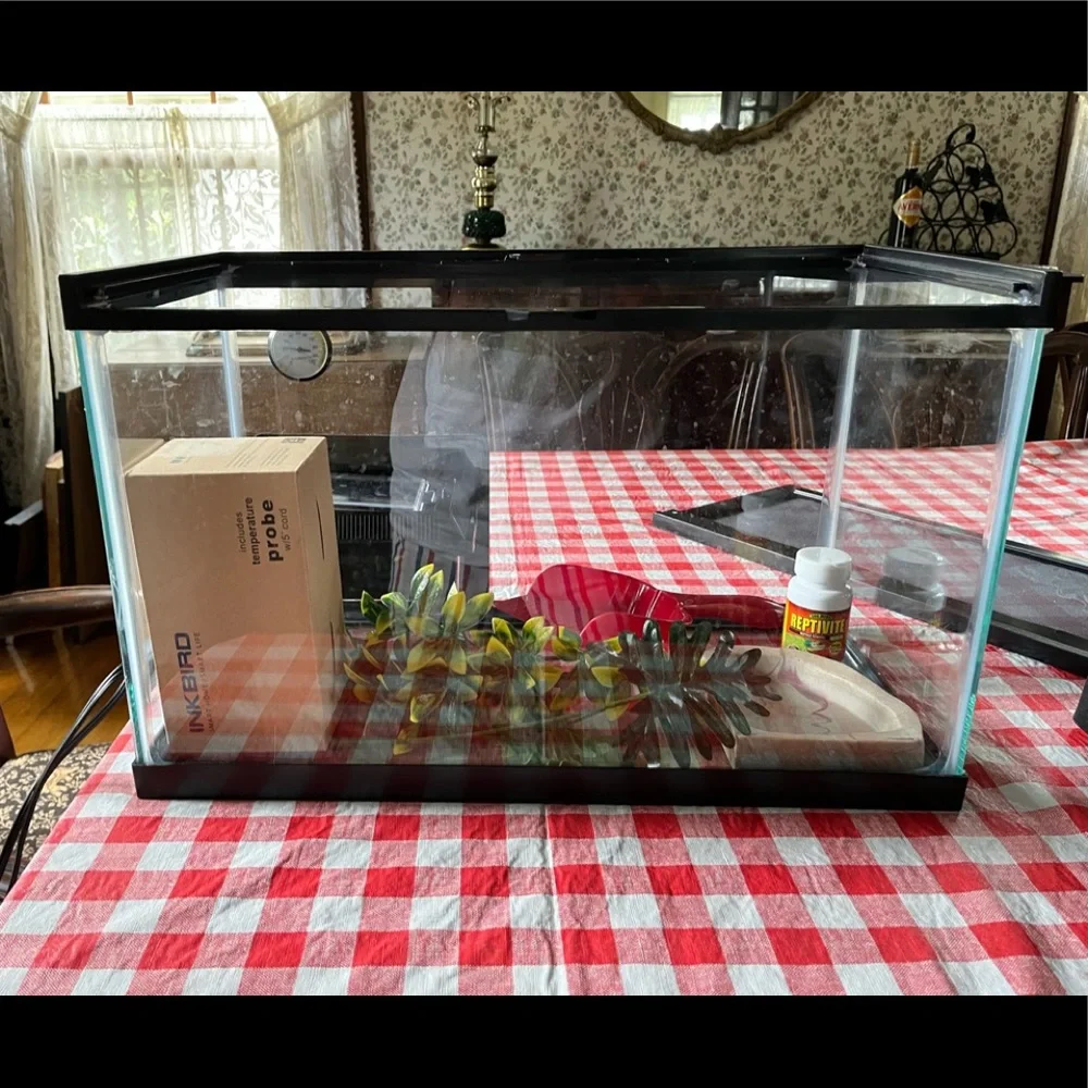 Reptile/Amphibian Full setup